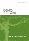 OENO One雜志封面